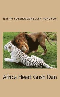 bokomslag Africa Heart Gush Dan