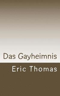 bokomslag Das Gayheimnis