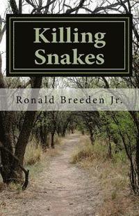 bokomslag Killing Snakes