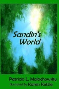 bokomslag Sandin's World