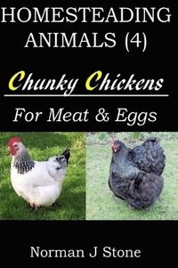 bokomslag Homesteading Animals (4): Chunky Chickens For Meat And Eggs