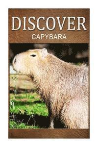 bokomslag Capybara - Curious Kids Press: Kids book about animals and wildlife, Children's books 4-6