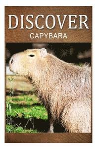 bokomslag Capybara - Discover: Early reader's wildlife photography book