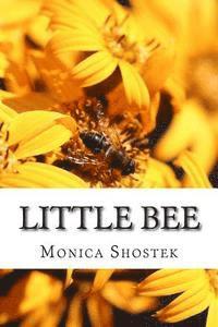 bokomslag Little bee