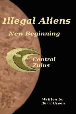 bokomslag Illegal Aliens: New Begining