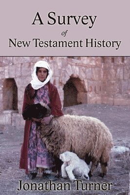 bokomslag Survey of New Testament History