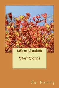 bokomslag Life in Llanduth - Short Stories: The Chrysanthemum Grower, the Provocative Dimple, the Mountain, Tommy Smith