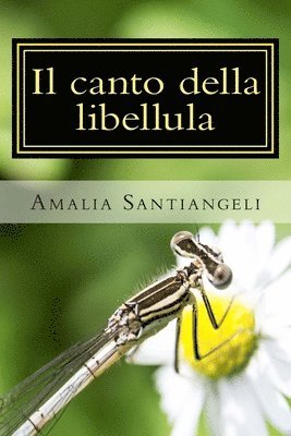 bokomslag Il canto della libellula