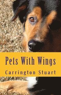 Pets With Wings 1