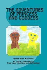 bokomslag Adventures of Princess and Goddess