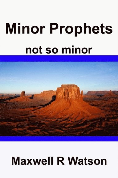 bokomslag Minor Prophets: Minor Prophets not so Minor