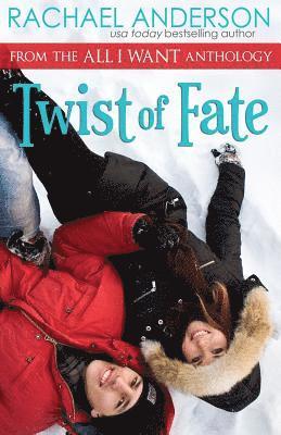 Twist of Fate (A Holiday Romance Novella)