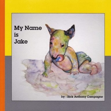 bokomslag My Name Is Jake