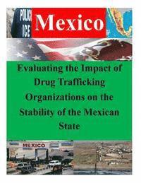 bokomslag Evaluating the Impact of Drug Trafficking Organizations on the Stability of the Mexican State