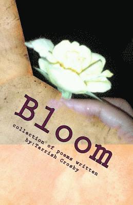 Bloom 1