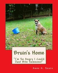 bokomslag Bruin's Home (Book 2): Adjustments
