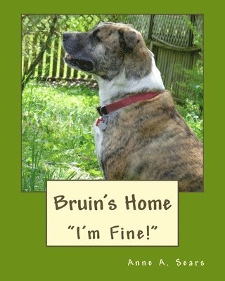 Bruin's Home (Book 3): Adjustments 1