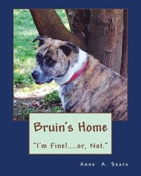 bokomslag Bruin's Home (Book 4): Adjustments