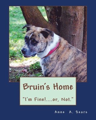 Bruin's Home (Book 4): Adjustments 1