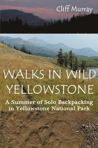bokomslag Walks in Wild Yellowstone: A Summer of Solo Backpacking in Yellowstone National Park