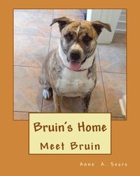 bokomslag Bruin's Home: Meet Bruin