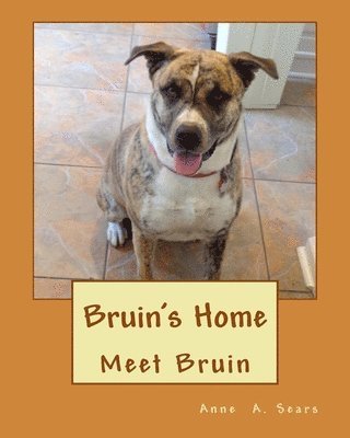 Bruin's Home: Meet Bruin 1