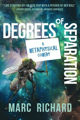 bokomslag Degrees of Separation