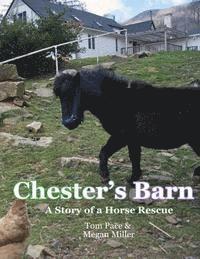 bokomslag Chester's Barn: A Story about a Horse Rescue