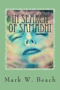 bokomslag In Search of Samadhi: A Journey of Spiritual Awakening