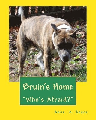 Bruin's Home (Book 1): Adjustments 1
