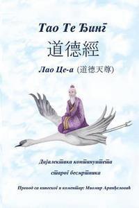 bokomslag Tao Te Djing: Dijalektika Kontinuiteta Starog Besmrtnika