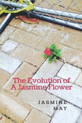 The Evolution of A Jasmine Flower 1