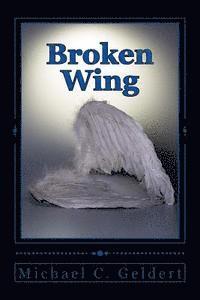 bokomslag Broken Wing