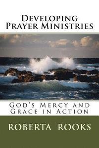 bokomslag Developing Prayer Ministries: God's Mercy and Grace in Action