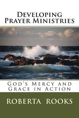 bokomslag Developing Prayer Ministries: God's Mercy and Grace in Action