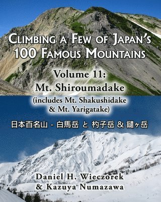 Climbing a Few of Japan's 100 Famous Mountains - Volume 11 1