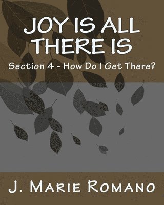 bokomslag Joy is All There is: Section 4 - How Do I Get There?