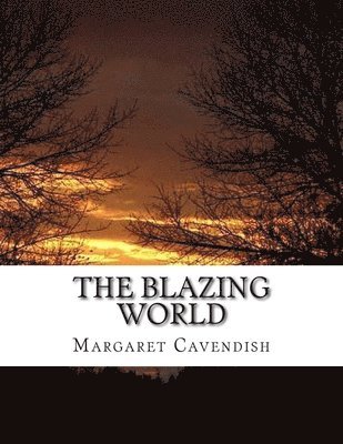 bokomslag The Blazing World