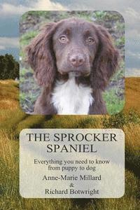 bokomslag The Sprocker Spaniel: Everything you need to know from puppy to dog