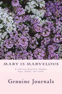 bokomslag Mary is Marvelous