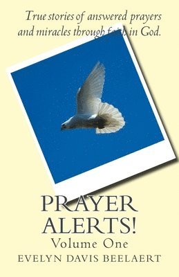 bokomslag Prayer Alerts!