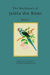 bokomslag The Mathnaw of Jallu'dn Rm - Book 1