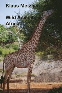 bokomslag Wild animals in AFRICA