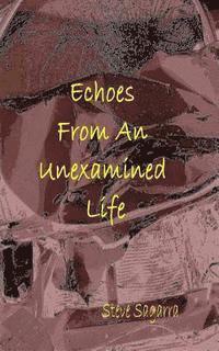 bokomslag Echoes from an Unexamined Life