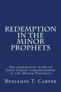 bokomslag Redemption in the Minor Prophets: The redemptive work of Jesus Christ foreshadowed in the Minor Prophets