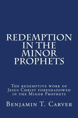 bokomslag Redemption in the Minor Prophets: The redemptive work of Jesus Christ foreshadowed in the Minor Prophets