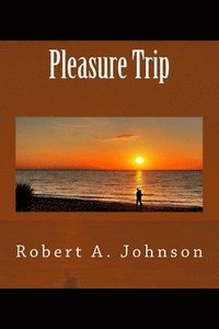 bokomslag Pleasure Trip