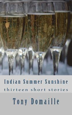 bokomslag Indian Summer Sunshine: & other stories