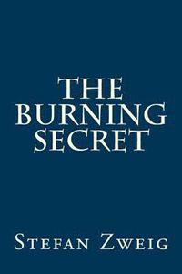 bokomslag The Burning Secret