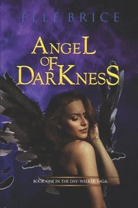 bokomslag Angel of Darkness